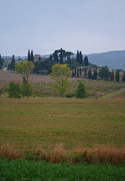 dolci-colline2.jpg