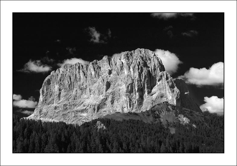 dolombw_04.jpg