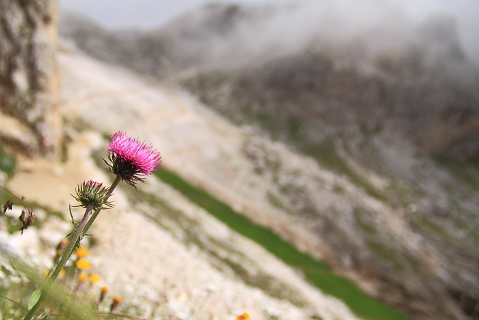 Dolomiti 2.JPG