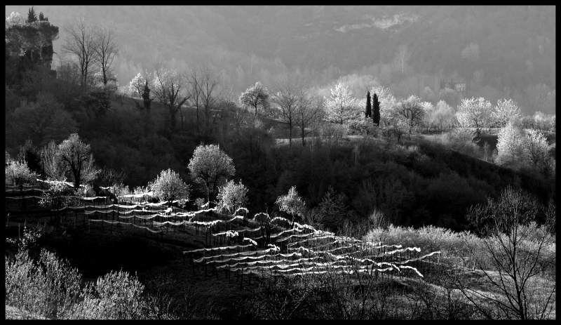 Domenica mattina 047 copia1.jpg