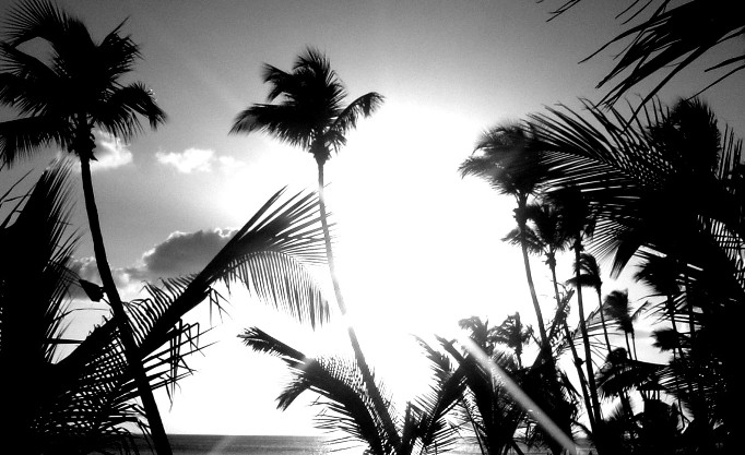 Dominican sun.jpg