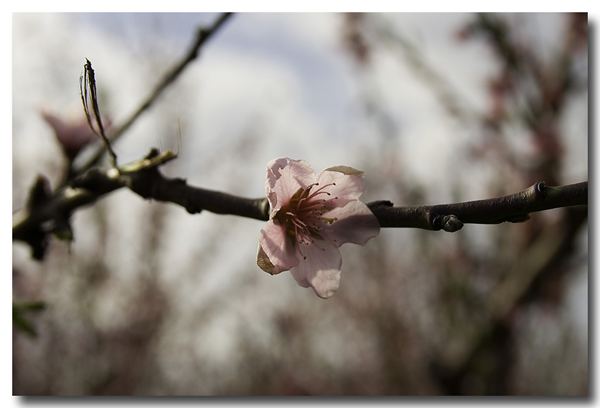 dopo-camera-raw.jpg