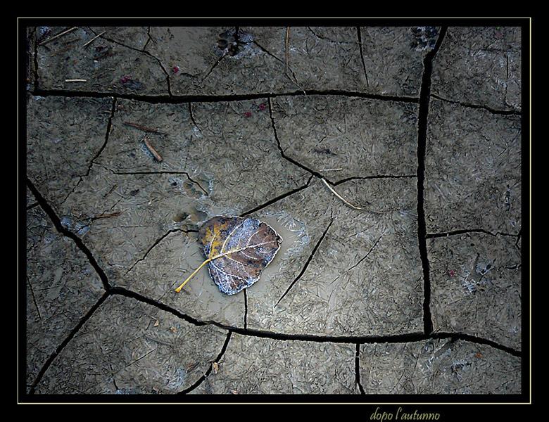dopo-l'autunno-2.jpg