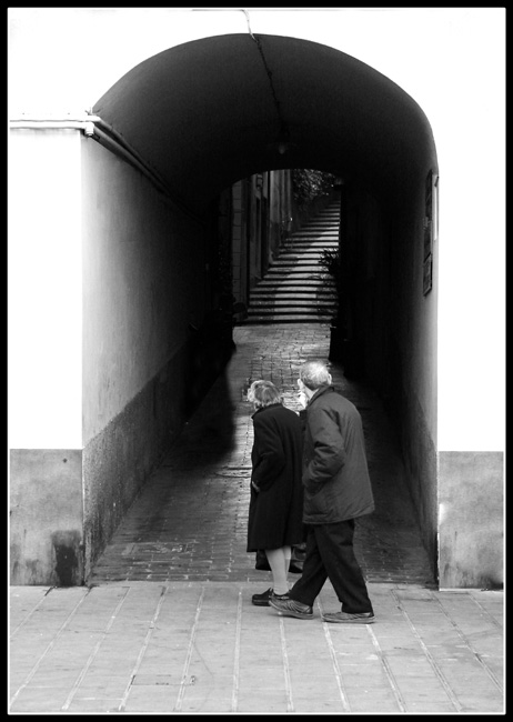 Dove Porterà.jpg