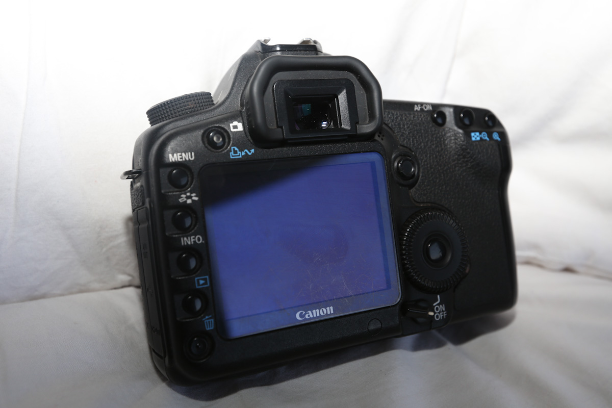 DP2A6947-50.jpg