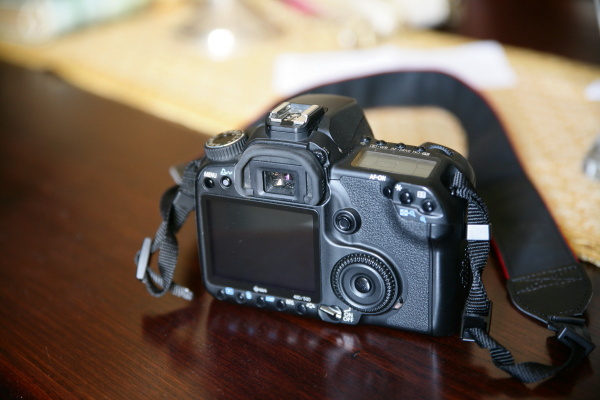dpp_0001_269.jpg
