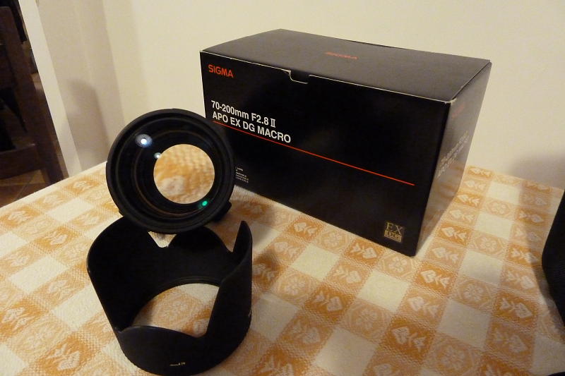dpp_0001_628.jpg