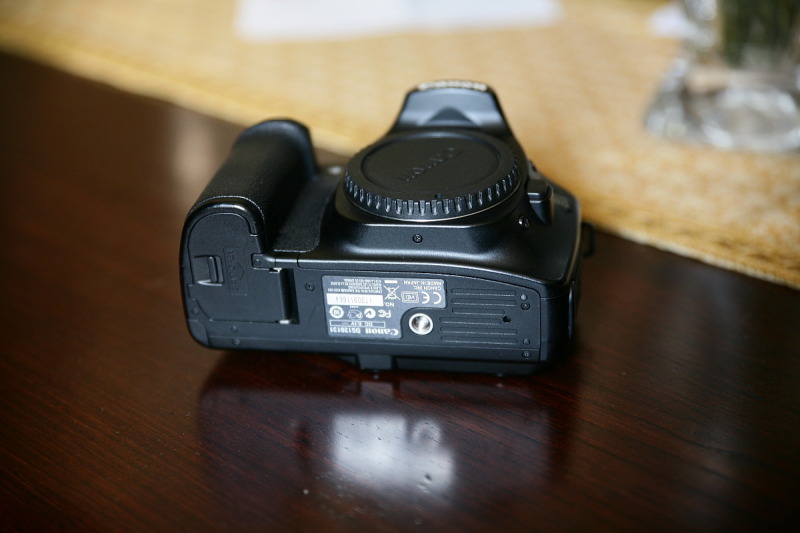 DPP_0002.JPG