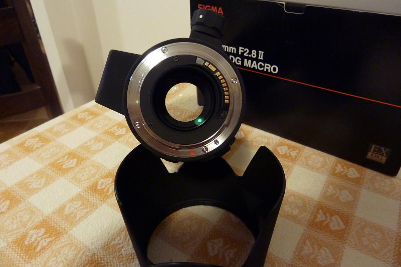 dpp_0002_414.jpg