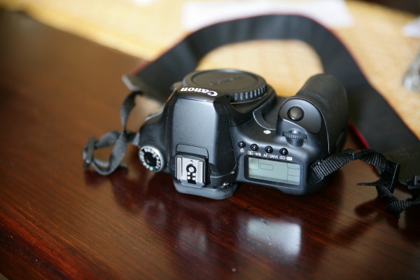 dpp_0002_440.jpg
