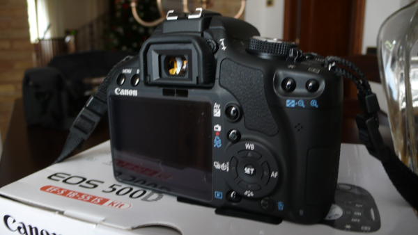 dpp_0003_176.jpg