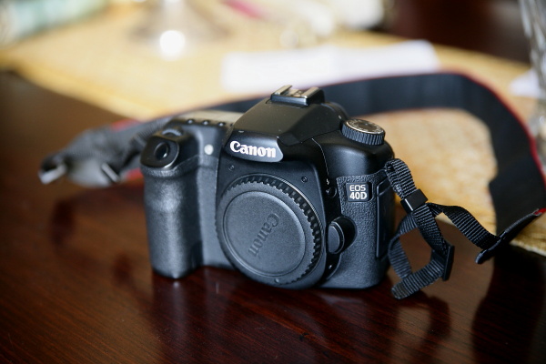 dpp_0003_259.jpg