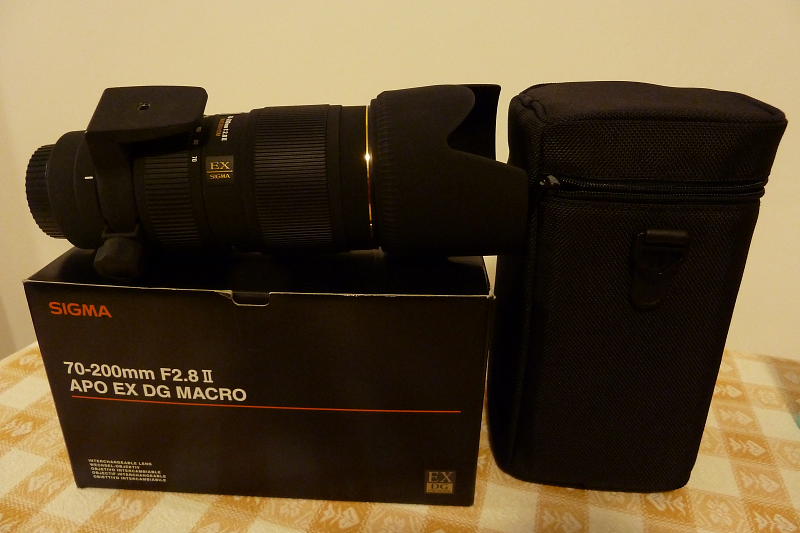 dpp_0003_520.jpg