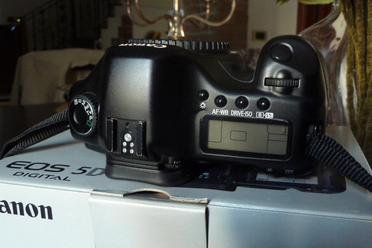 DPP_0003.JPG