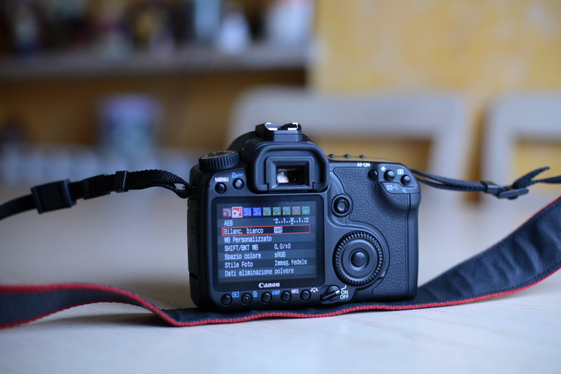 DPP_0004.JPG