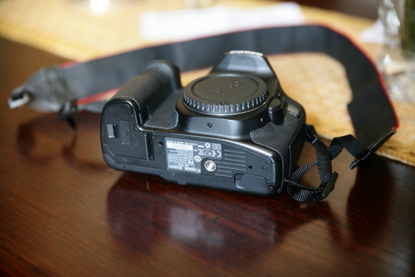 dpp_0004_785.jpg