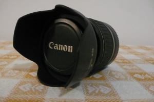DPP_0005.JPG