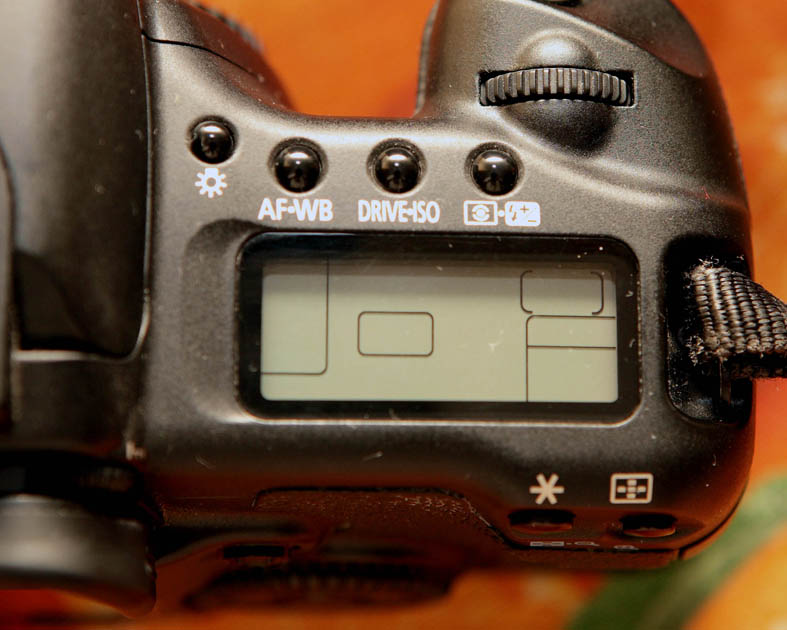 DPP_0007.JPG