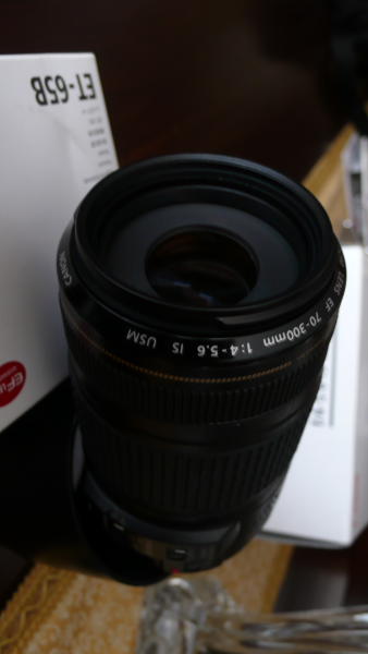 DPP_0008.JPG