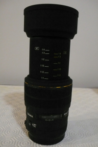 DPP_0010.JPG