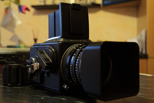 DPP_0157.JPG