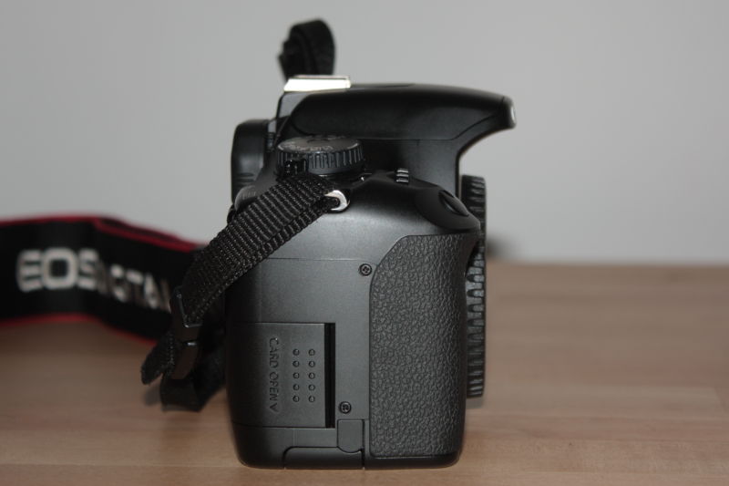 DPP_0202.JPG