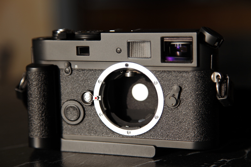 DPP_0223.JPG