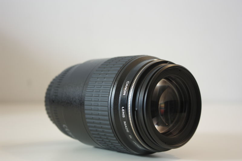 DPP_0236.JPG