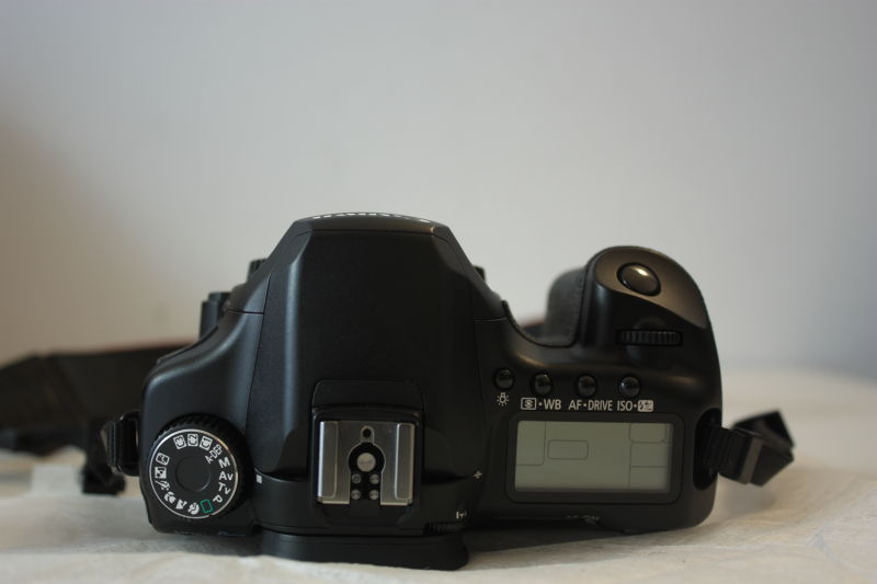 DPP_0243.JPG