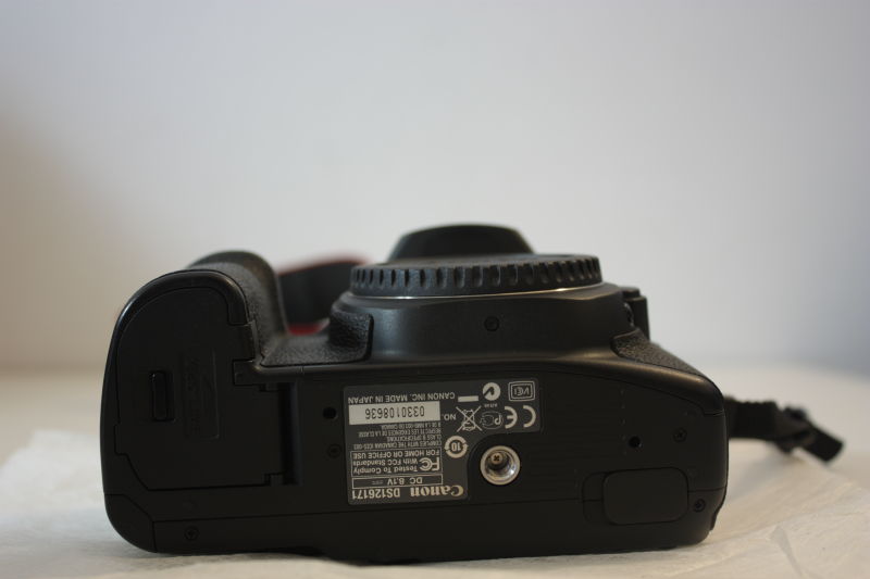 DPP_0244.JPG