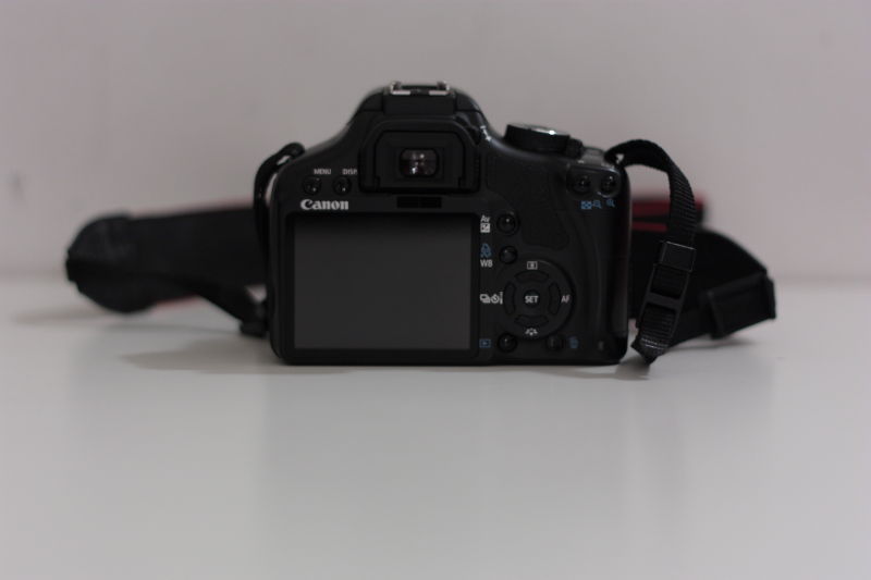 DPP_0308.JPG