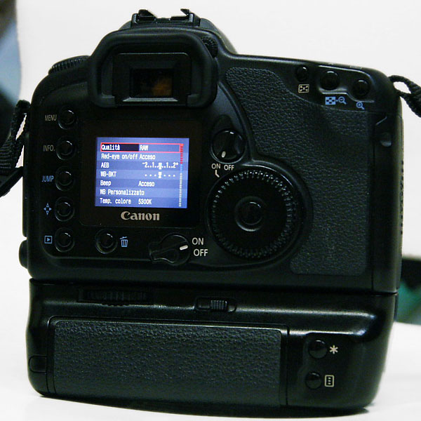 dpp_2010_898.jpg