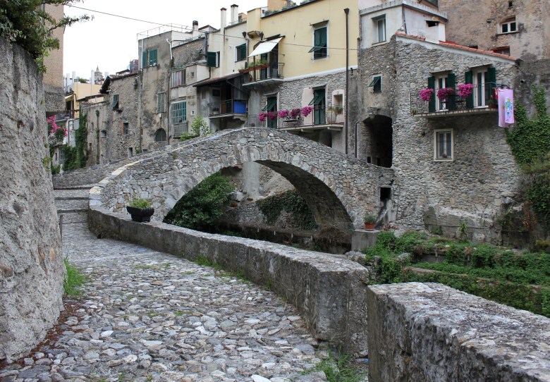 DPP_2350 (780 x 542).jpg