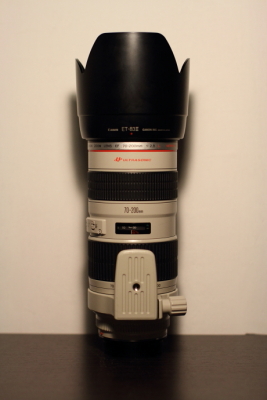 DPP_24986.JPG