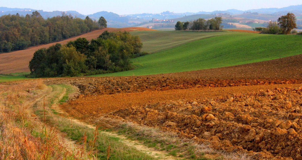 DPP_2912-002 (1000 x 530).jpg