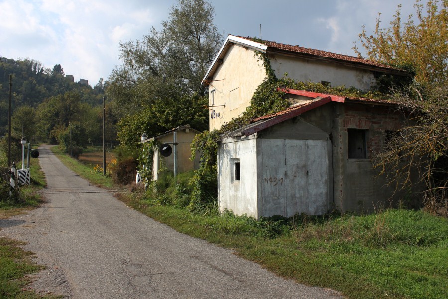 DPP_2920 (900 x 600).jpg