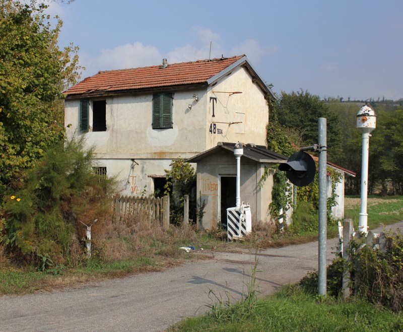 DPP_2921 (800 x 659).jpg