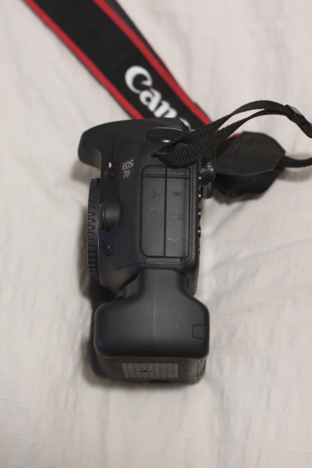 DPP_3173.JPG