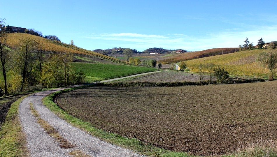 DPP_6020 (950 x 539).jpg