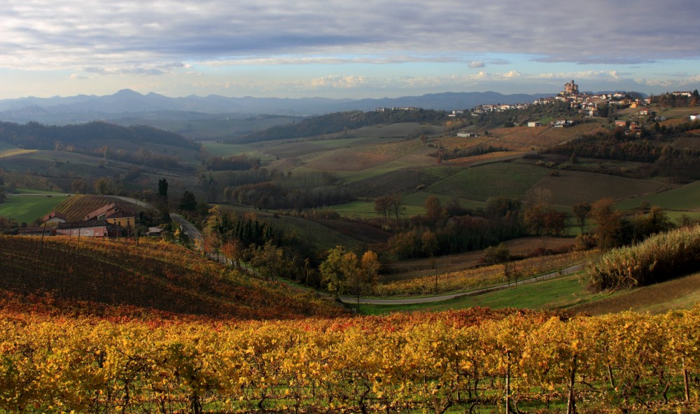 DPP_6123 (1000 x 591).jpg