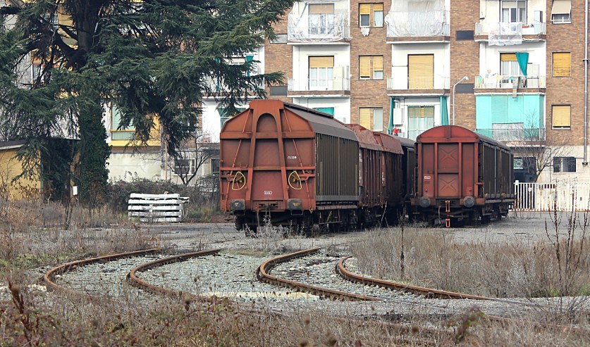 DPP_6241 (837 x 493).jpg