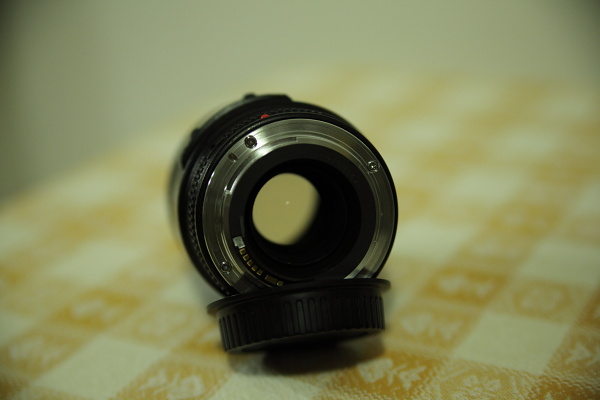 DPP_pp0003.JPG