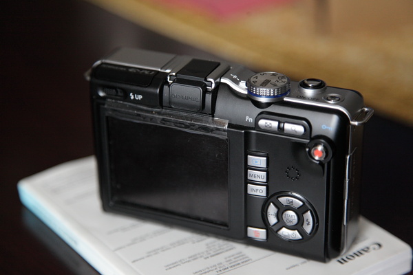 DPP_pp0007.JPG