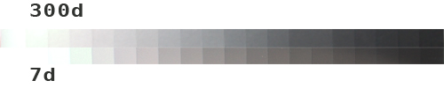 dr300d7d.jpg