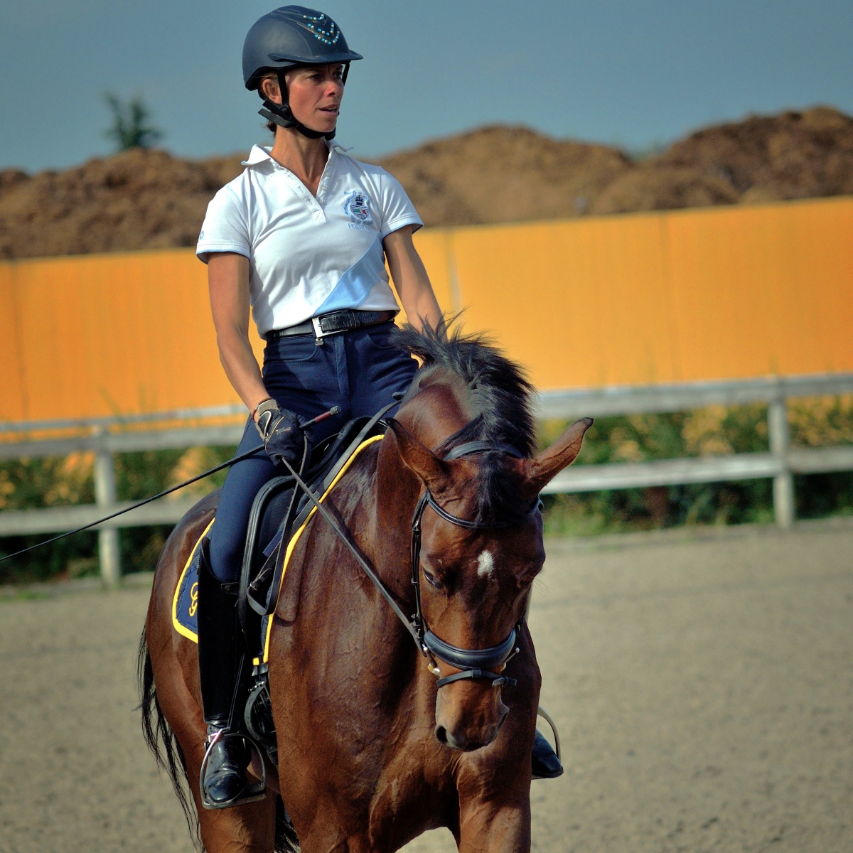 dressage 1500.jpg