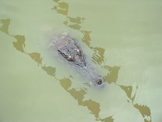 drillo.JPG