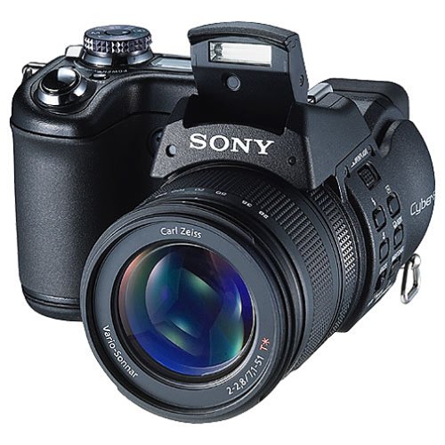 DSC-F828_lg.jpg