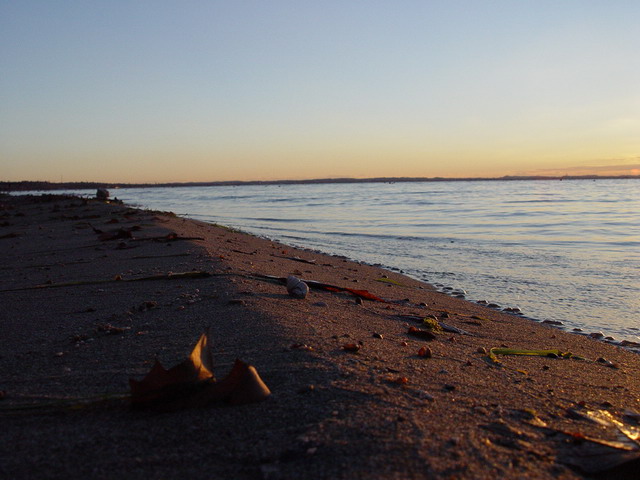 DSC00119_resize.JPG