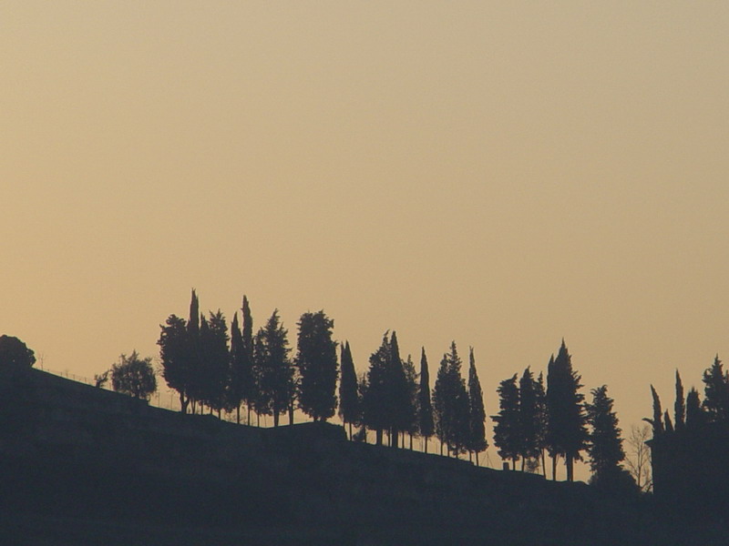 DSC00121_resize.JPG