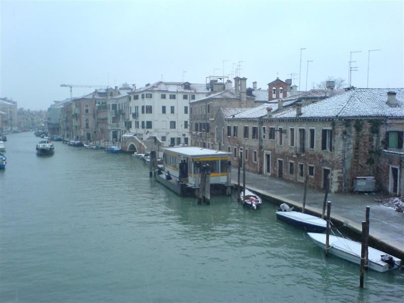 DSC00181 (Medium).JPG